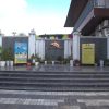 IMG_9503 (1)